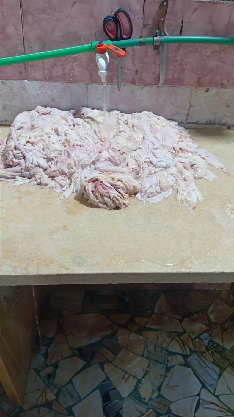 جانب من المضبوطات خلال الحملة&nbsp;