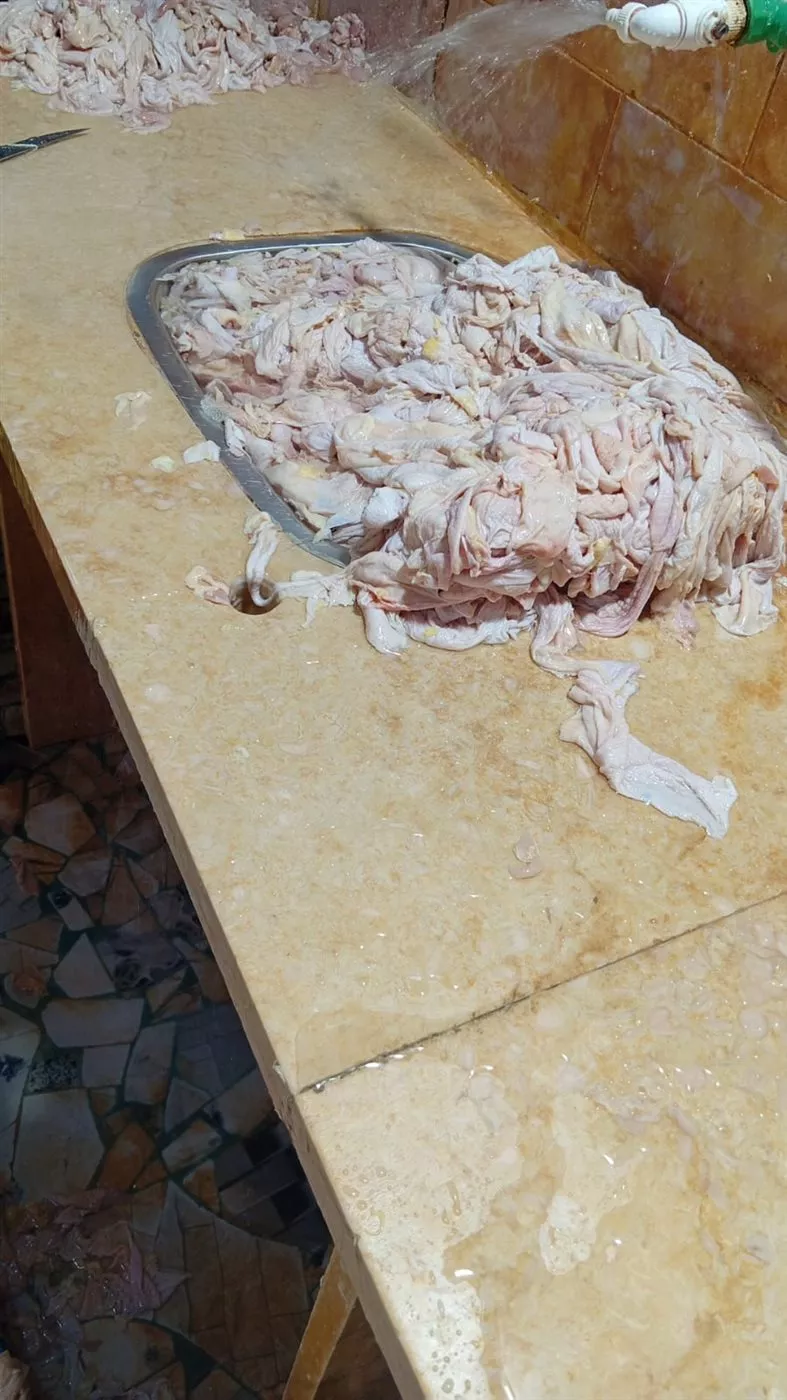 جانب من المضبوطات خلال الحملة&nbsp;