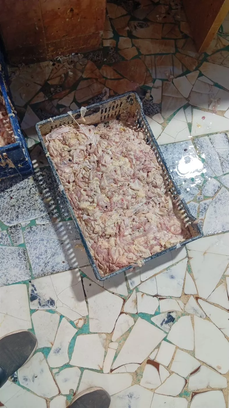 جانب من المضبوطات خلال الحملة&nbsp;