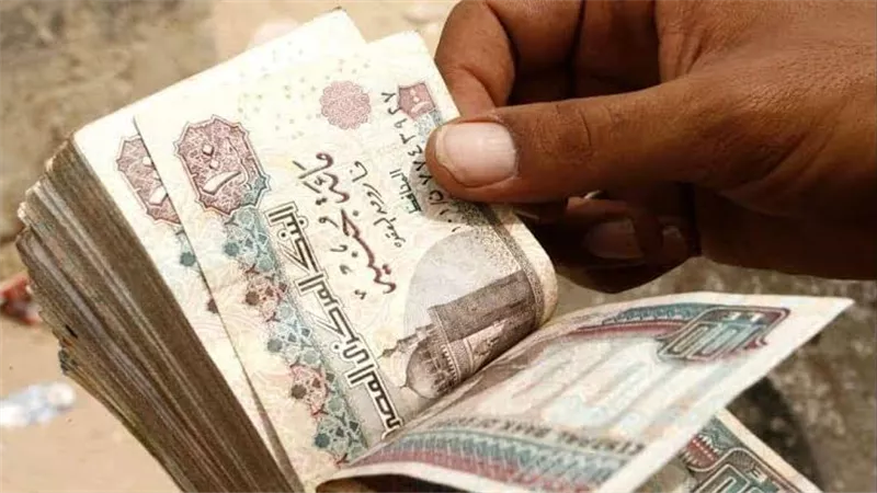 كيف يمول قانون الضمان الاجتماعي المساعدات؟.. 4 موارد للصندوق وحسابات مستقلة بالمحافظات