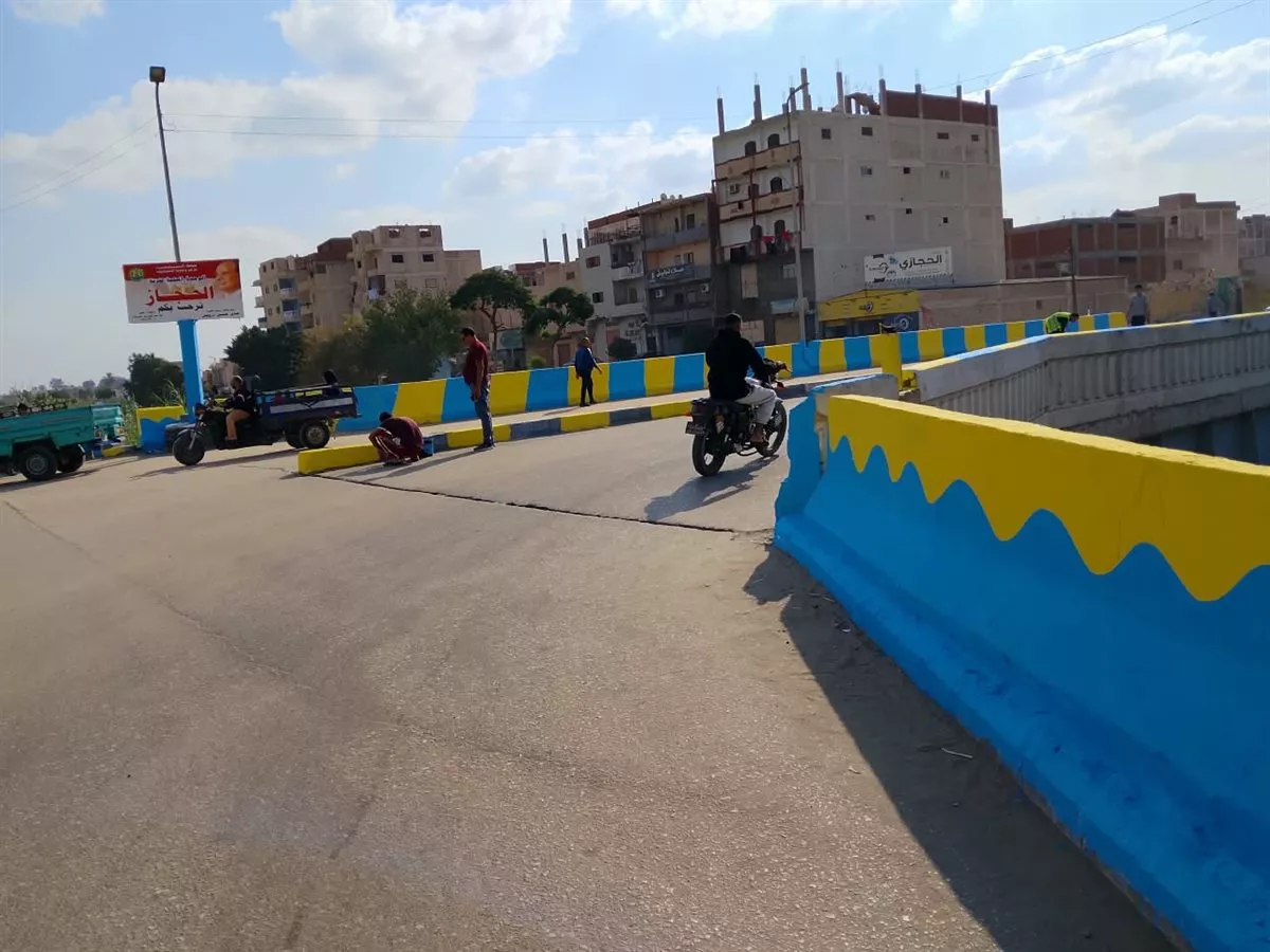 جانب من أعمال المبادرة&nbsp;