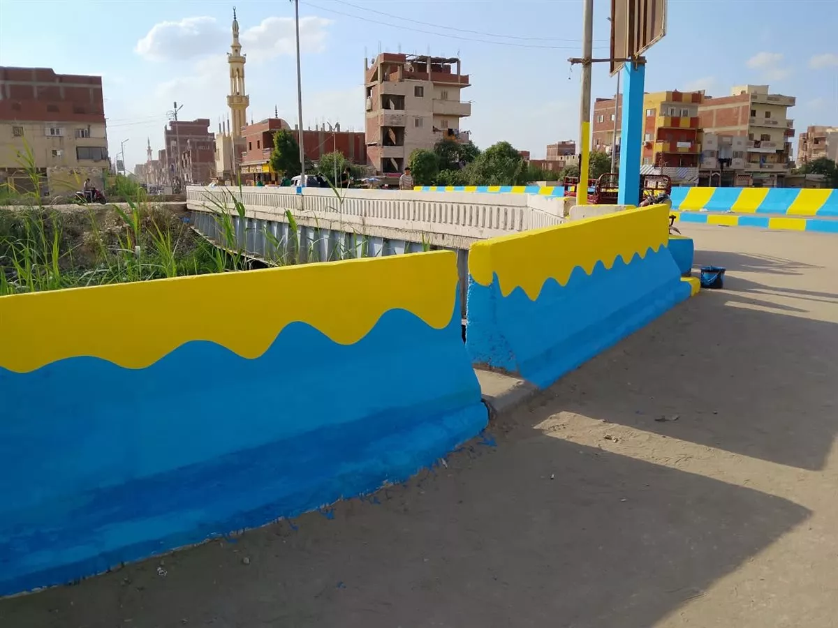 جانب من أعمال المبادرة&nbsp;