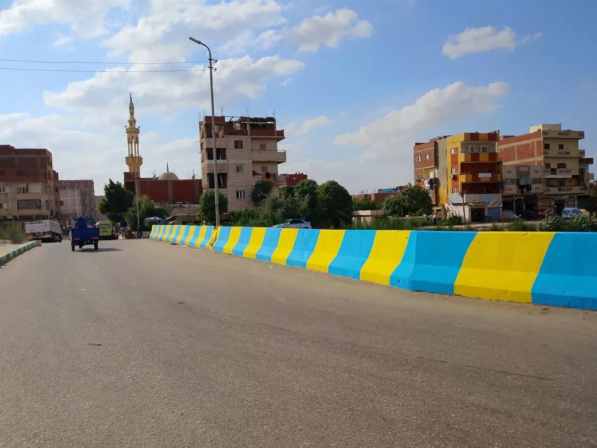 جانب من أعمال المبادرة&nbsp;