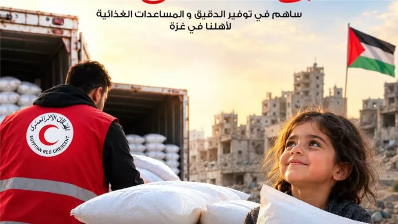 من مصر إلى غزة.. «سنابل العطاء» لتوفير الدقيق والغذاء للأسر الفلسطينية المتضررة