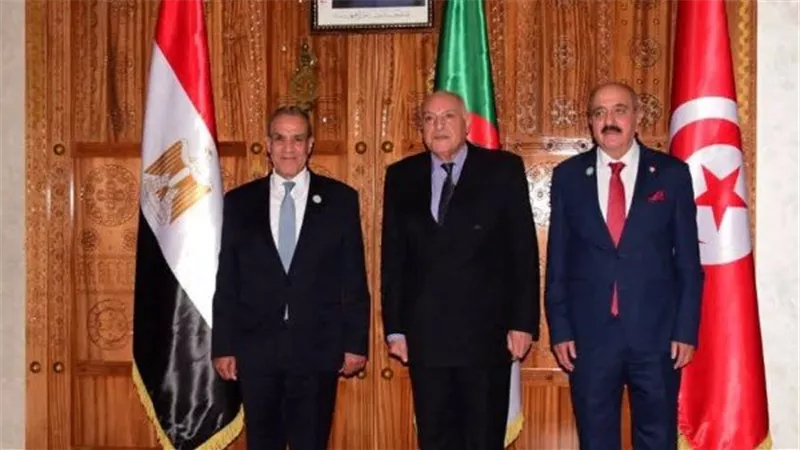 خروج المرتزقة من ليبيا.. هل تنجح مصر والجزائر وتونس في إنهاء سنوات الفوضى والانقسام؟