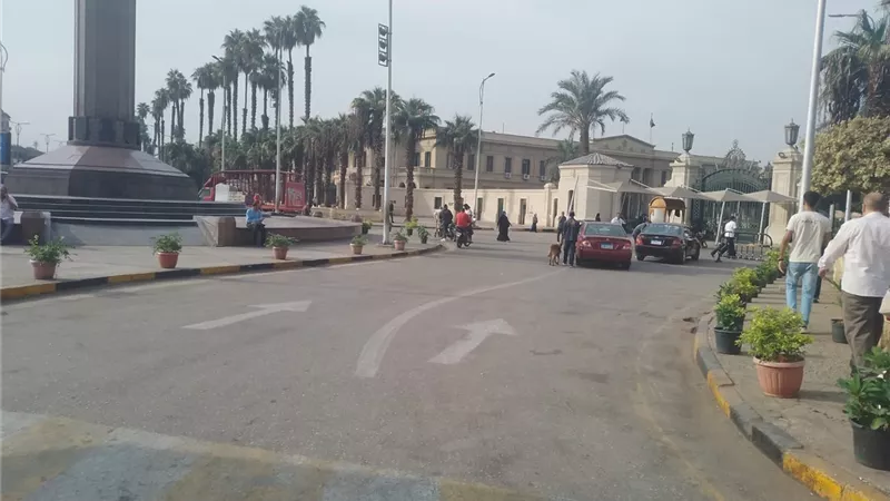 غسيل وكنس آلي ورفع كفاءة الحدائق.. حملات نظافة مكثفة بشارع الجامعة في الجيزة