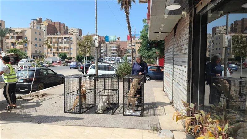جانب من أعمال حملة التعقيم