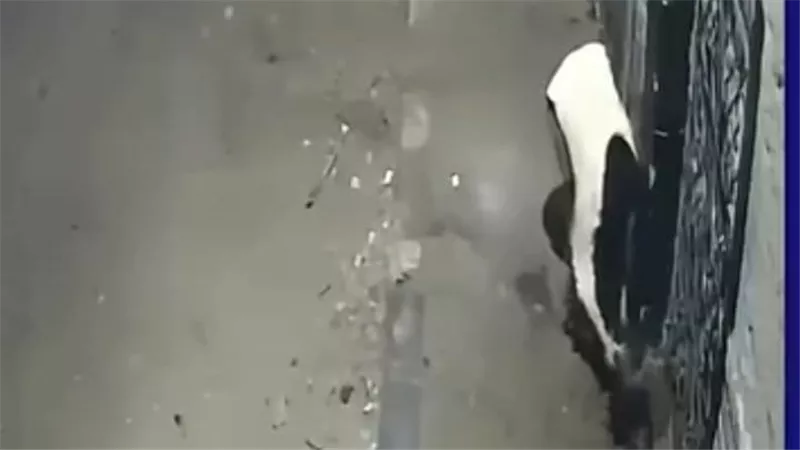 ملثمة تشعل النيران في بوابة مبنى وتهرب.. والأمن يفحص الواقعة