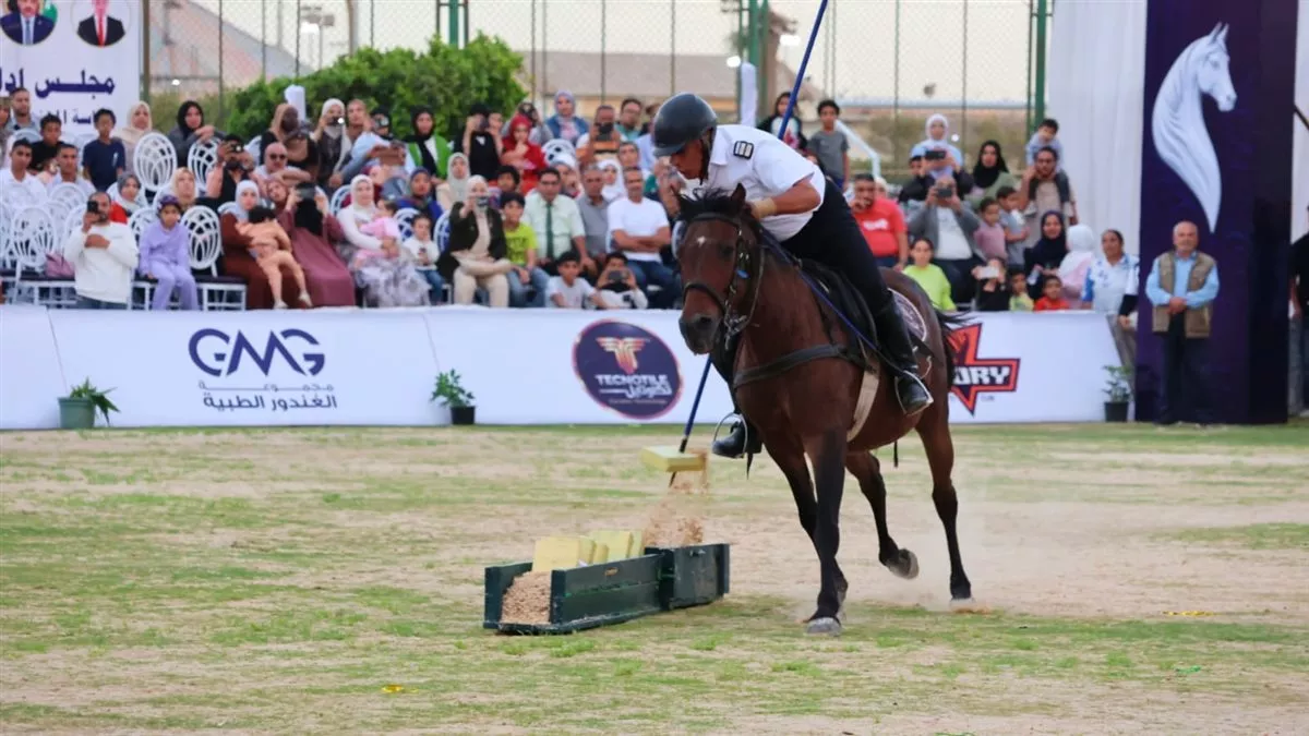 فاعليات المهرجان&nbsp;