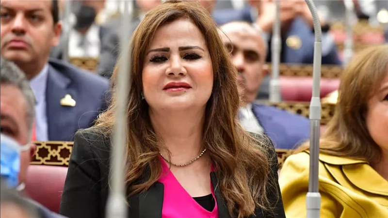 برلمانية: الاعتداءات الإسرائيلية على المشرق العربي تهدد الأمن الإقليمي