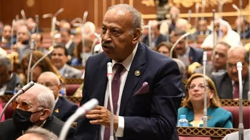 النائب هاني العسال: مجلس الشيوخ ترك بصمة واضحة في صياغة تشريعات متكاملة