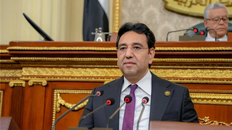 أيمن محسب: مصر والسعودية حجر الزاوية في استقرار المنطقة