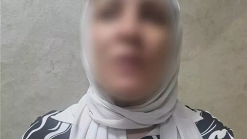 ضبط صانعة محتوى بتهمة التشهير والإساءة لمسؤولين حكوميين عبر مواقع التواصل