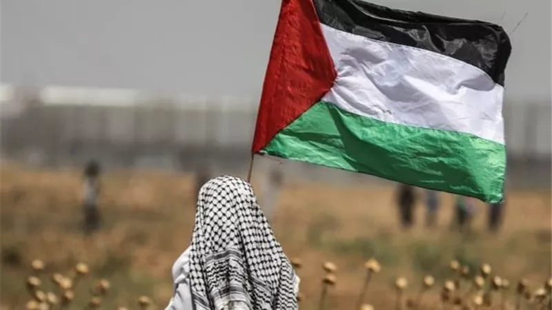 مصر ترحب بعزم فرنسا الاعتراف بدولة فلسطين وتدعو المجتمع الدولي للخطوة نفسها