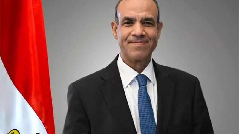 وزير الخارجية: الرئيس السيسي يقود سياسة خارجية نشيطة تتسم بالمبادرة والتواجد في الأزمات الدولية