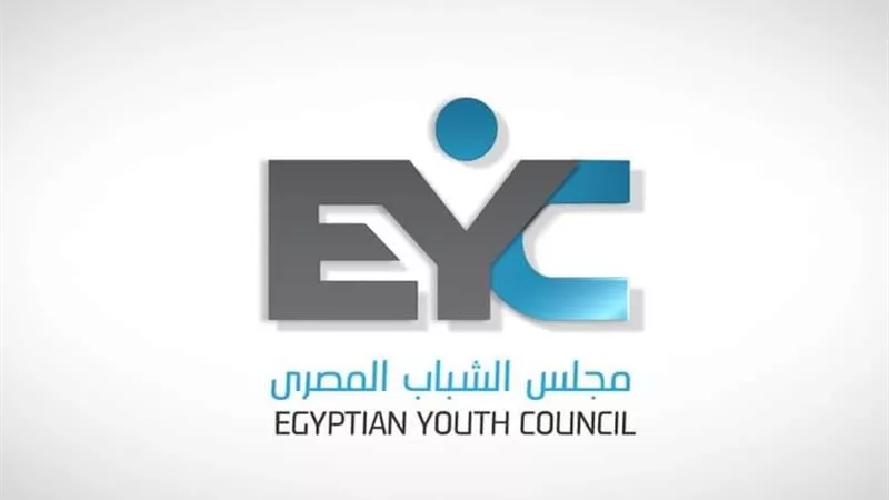 صوتك بيفرق.. تفاصيل حجم مشاركة المصريين في الخارج بانتخابات الشيوخ 2025