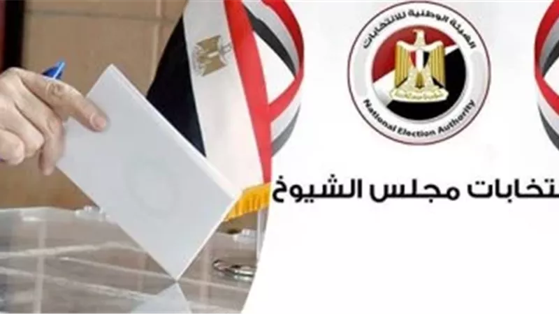 اليوم.. إعلان النتيجة النهائية لانتخابات مجلس الشيوخ 2025