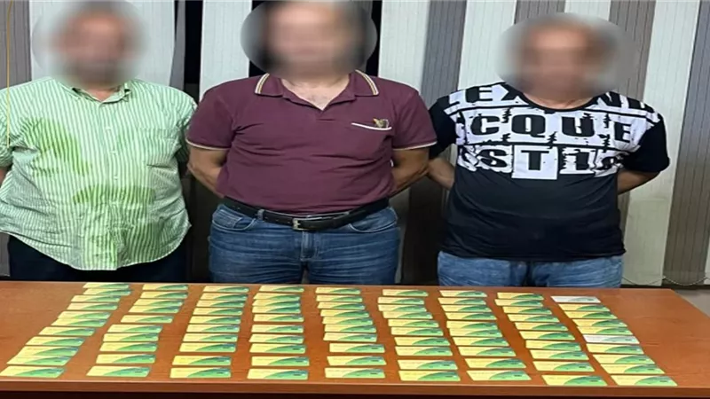 سقوط عصابة استولت على دعم تمويني بـ392 ألف جنيه باستخدام بطاقات مزورة