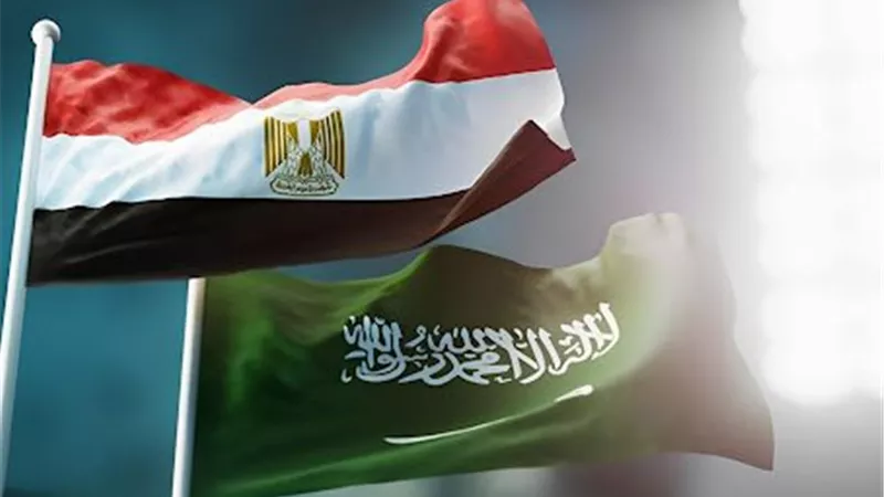 أبو موسى: العلاقات بين مصر والسعودية متميزة وصلبة ومتينة