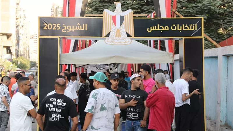 مقاعد متحركة ودورات مياه مجهزة.. أبرز التسهيلات لذوي الاحتياجات الخاصة باللجان الانتخابية