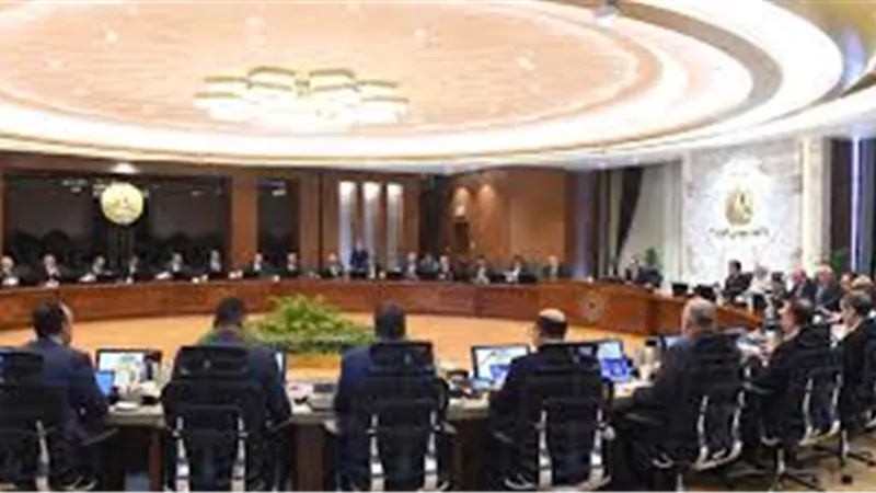 الوزراء: 90% من الإنتاج العالمي للملح مخصص للاستخدامات الصناعية