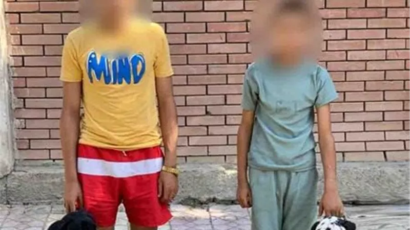 القبض على شخصين اعتديا على مواطن بالسلاح الأبيض وكلبين بالإسكندرية 