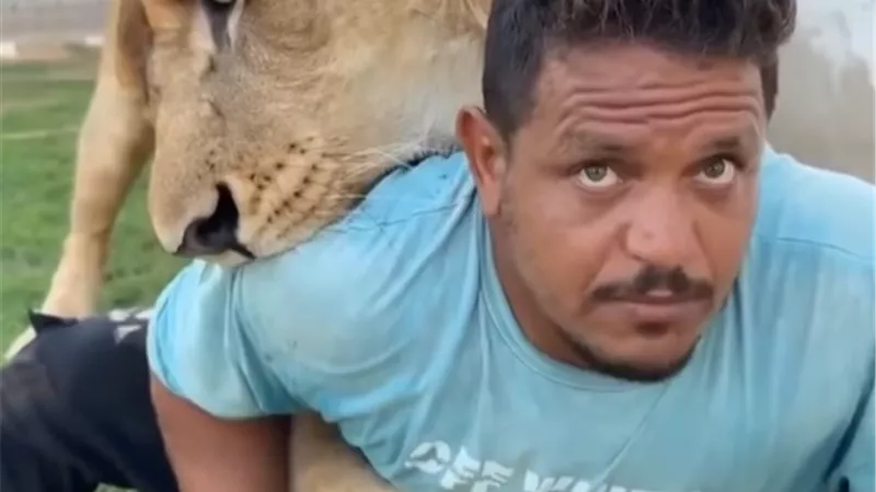 النائب العام الليبي يقرر حبس صاحب مزرعة لإطلاقه أسده على عامل مصري