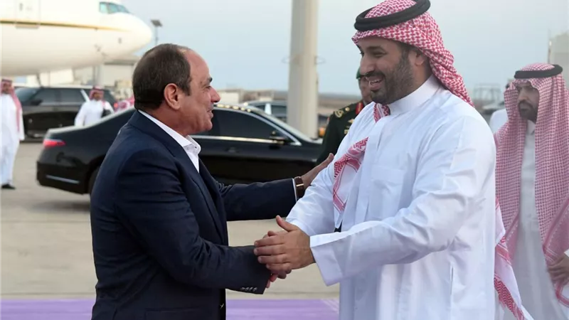 المتحدث الرئاسي ينشر صور زيارة الرئيس السيسي للسعودية