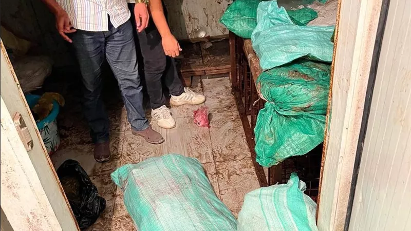 محافظة الجيزة: تضبط 3 أطنان 