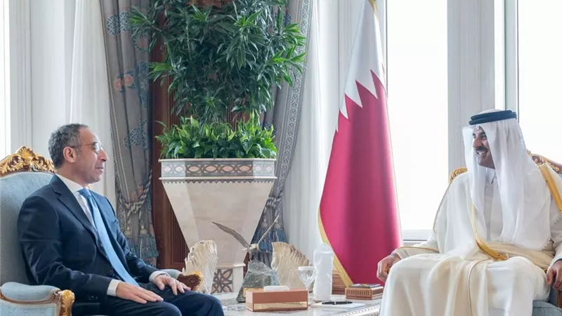 أمير  قطر يستقبل سفير مصر بالدوحة بمناسبة قرب انتهاء فترة عمله 