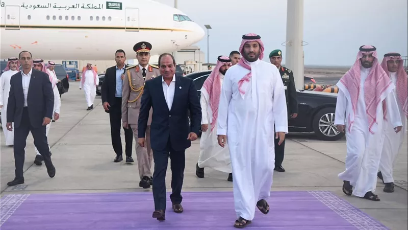 حزب الوفد يشيد بلقاء الرئيس السيسي والامير محمد بن سلمان 
