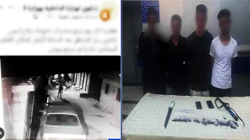الداخلية تضبط 4 متهمين بالإتجار في المخدرات والبلطجة بالبساتين