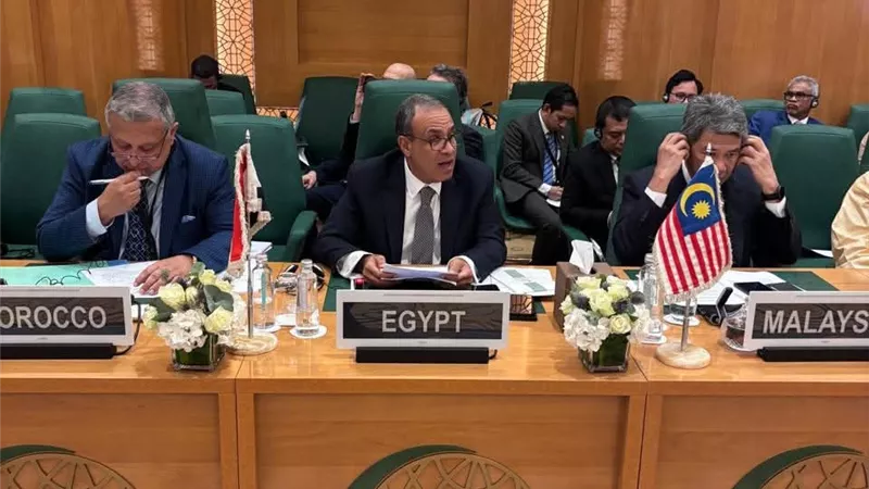 مصر تدين العدوان الإسرائيلي على غزة وتؤكد دعمها الكامل للفلسطينيين