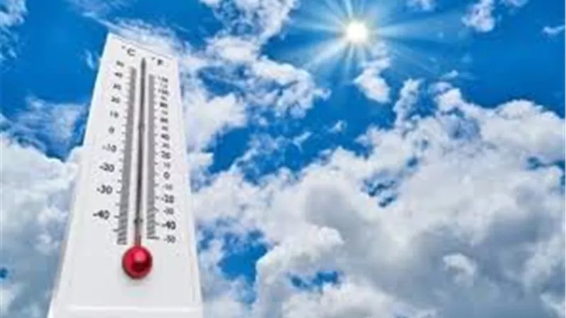 شبورة وأمطار خفيفة ورياح مثيرة للأتربة.. تفاصيل طقس الثلاثاء