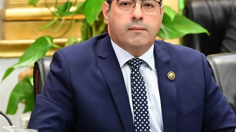 اتحاد شباب المصريين بالخارج يتضامن مع 