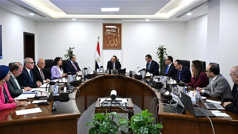 مدبولي يستعرض مشروعات الكهرباء بالمدن الجديدة بمشاركة القطاع الخاص