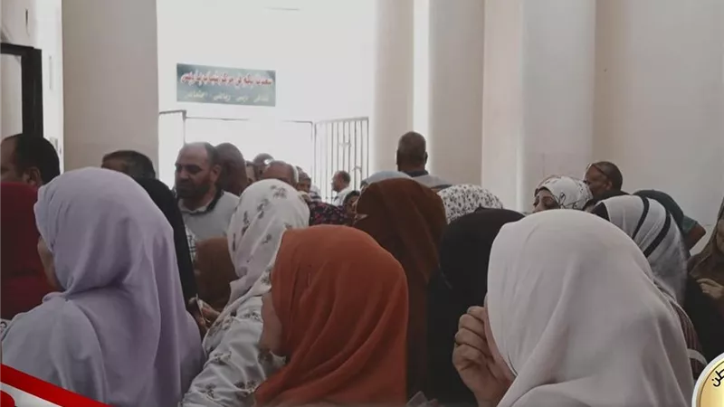 بالصور.. إقبال متزايد على لجان الوادي الجديد في جولة الإعادة بانتخابات مجلس الشيوخ 2025