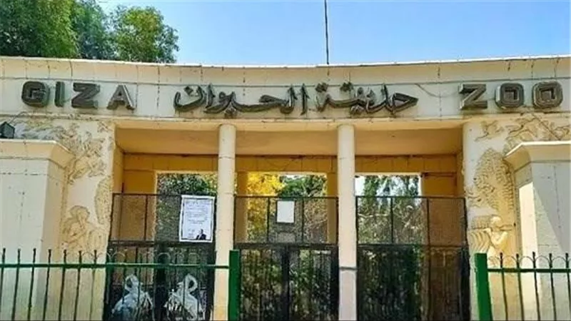 عاجل| مصادر: تأجيل موعد افتتاح حديقة الحيوان بالجيزة 