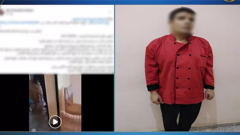  القبض على طباخ لاتهامه بقتل قطة داخل مطبخ قرية سياحية بمطروح
