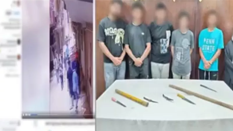 مشاجرة بالأسلحة البيضاء بسبب لهو الأطفال في المرج.. والداخلية تضبط المتهمين