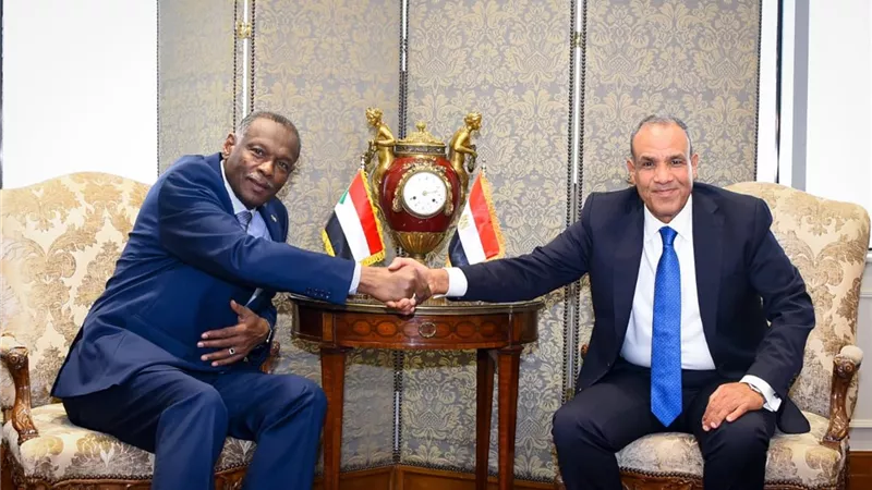 وزير الخارجية: مصر تساند السودان في مواجهة التحديات وتدعو لحل سياسي شامل