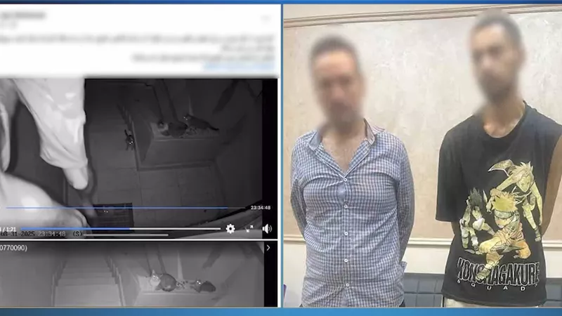 الداخلية تضبط عاملا بمطعم وراء سرقة مشغولات وأموال بالجيزة
