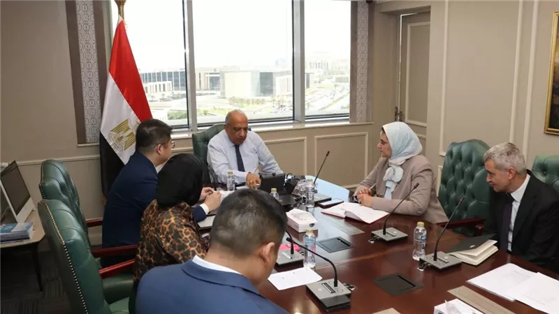تعاون مصري – صيني لتوطين صناعة الخلايا الشمسية