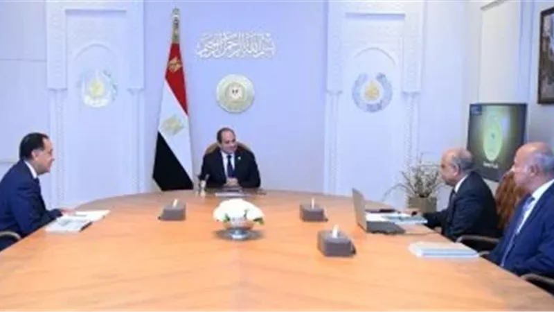 السيسي يبحث مع مدبولي ووزير الكهرباء تطوير الشبكة القومية والتوسع في الطاقة المتجددة