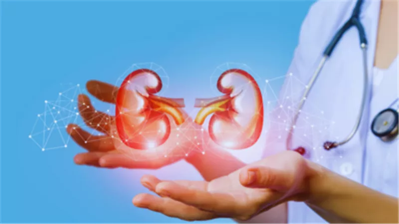 الماء سلاح ذو حدين.. هل الإكثار منه يضر الكلى؟