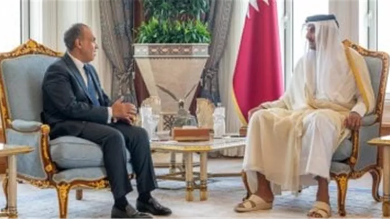 وزير الخارجية يلتقي أمير قطر ويؤكد تضامن مصر الكامل بعد العدوان الإسرائيلي على الدوحة