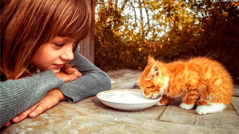 فقه الرفق بالحيوان.. صدام أم تكامل مع المواثيق الوضعية؟