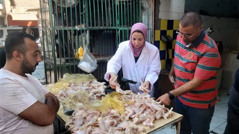 ضبط لحوم غير صالحة للاستهلاك الآدمي بالمنيا خلال حملة رقابية مكبرة