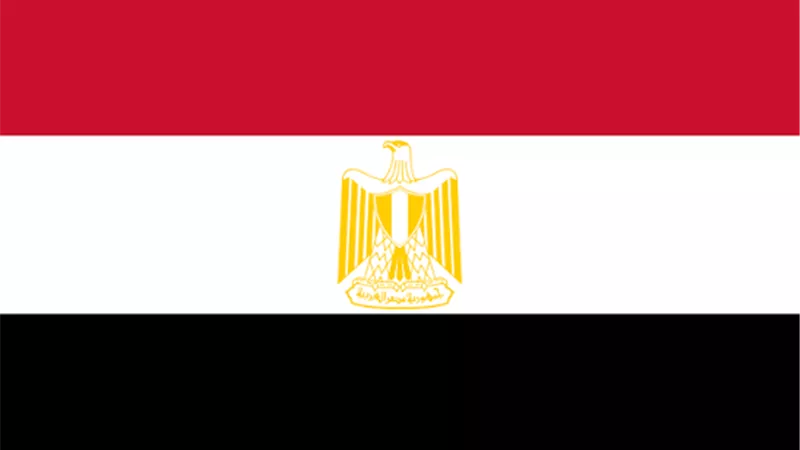 مصر تشارك في بيان مشترك لاستعادة السلام والأمن في السودان
