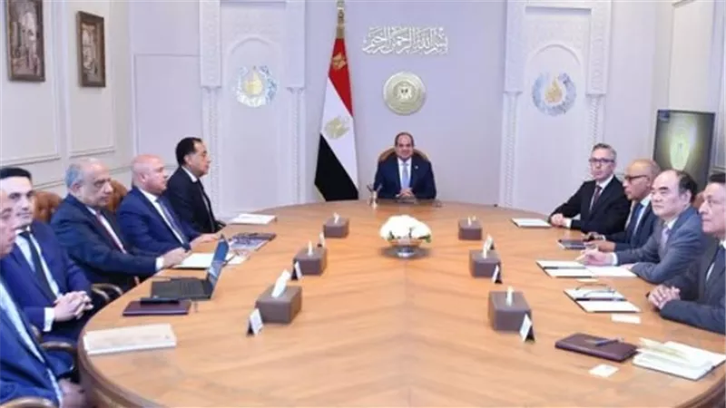 السيسي يبحث فرص التعاون الثلاثي مع شركتي سكاتك النرويجية وصنجرو الصينية